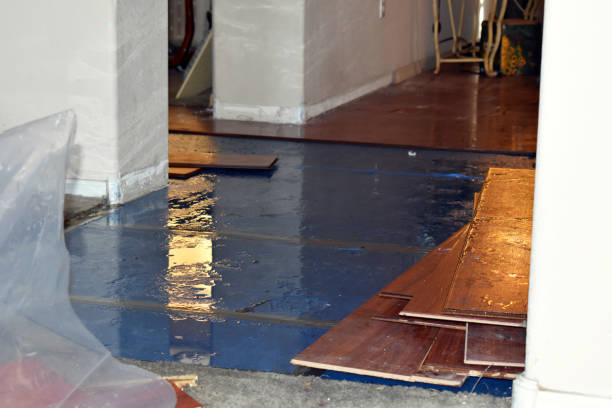 Professional Burst Pipe Cleanup technician working in Stockton, MO